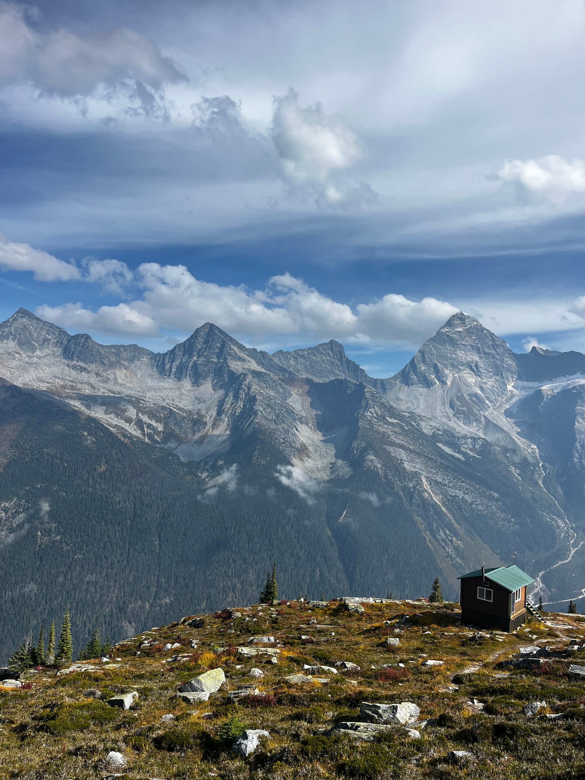 Been a while crocodile!